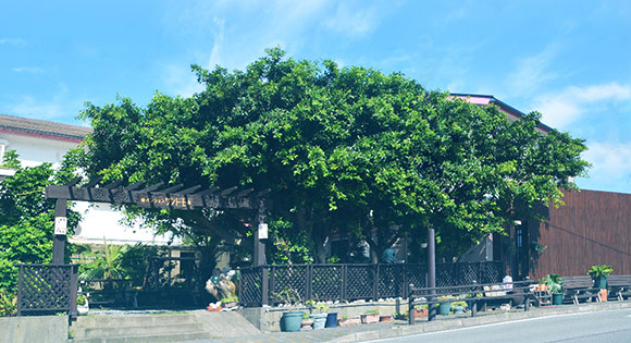 都民割対応商品 東京竹芝発 往復大型客船で行く フリープラン伊豆諸島 三宅島 ペンションサントモ指定 1泊3日 朝夕食付き