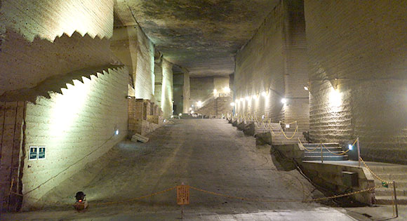 新宿発 西船橋駅発 気分は探検隊 地下に広がるひんや り巨大地下空間 大谷資料館 古酒が眠る洞窟 島崎酒造 下野トトロ神社 星宮神社 巡り 栃木穴場ツアー 昼食は宇都宮名物 餃子ランチをお召し上がりください