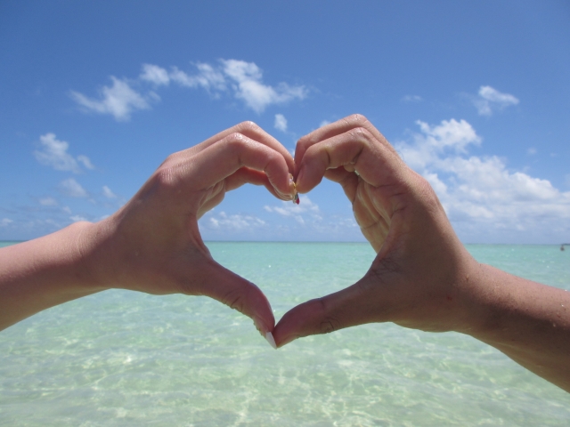 大人気hawaii ハワイ のツアー特集ページ マウイ オアフ カウアイ アウラニ ワイキキ