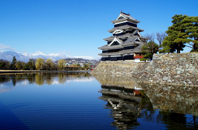 花が咲き誇る庭園