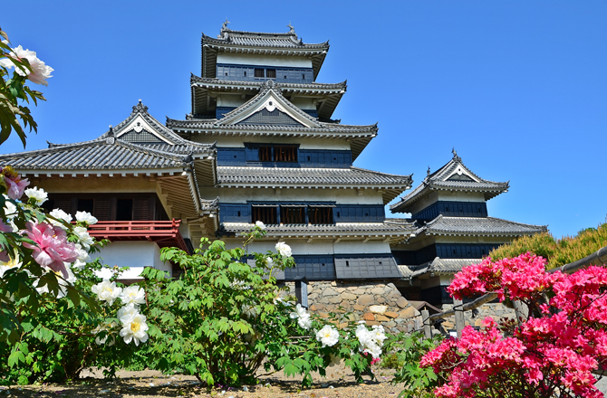 花が咲き誇る庭園
