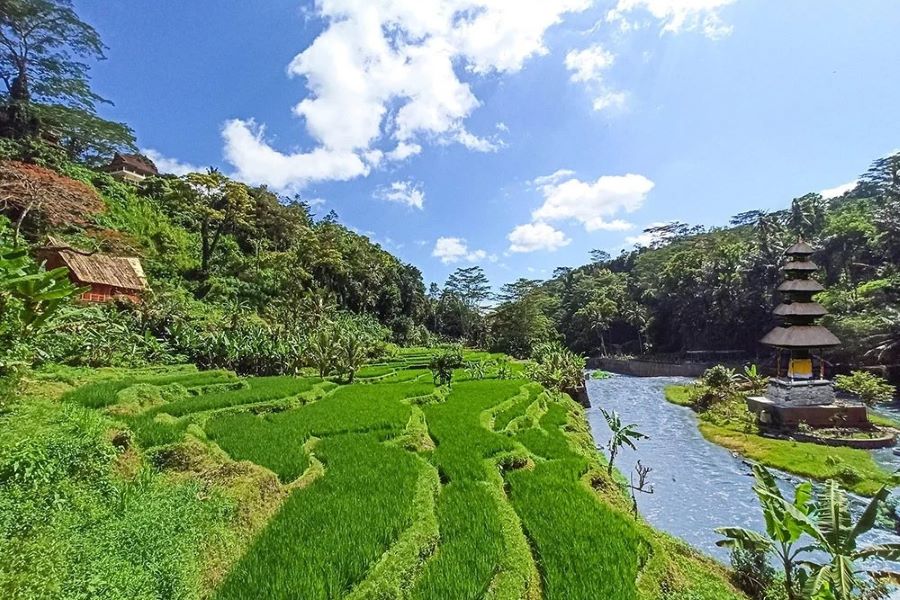 【往路/午前発*復路/夜発】◇バリ島6日間◇シンガポール航空で行く!クプクプ バロン ヴィラズ & ツリー スパにご宿泊