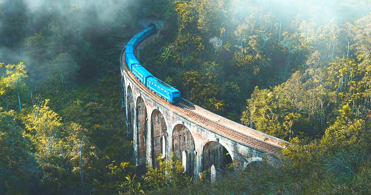 【憧れの紅茶列車に乗車】 スリランカ航空直行便で行く！世界遺産と紅茶体験の旅６日間 ｜ 安心の日本語ガイド列車同乗プラン