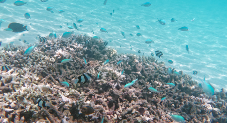 イパオビーチパーク