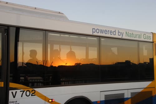 ブリスベン市内を走るバス