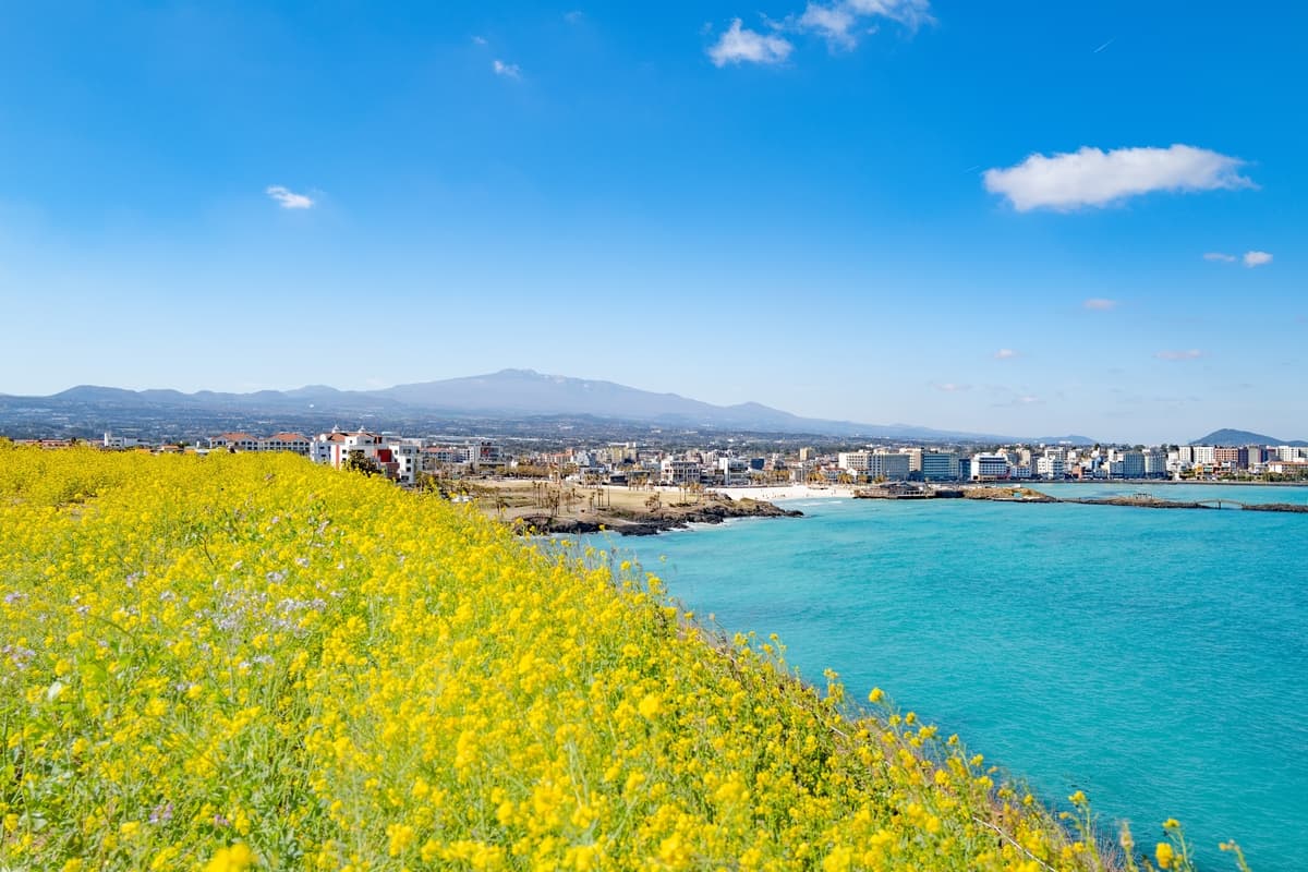 チェジュ島の自然
