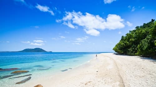 フィッツロイ島