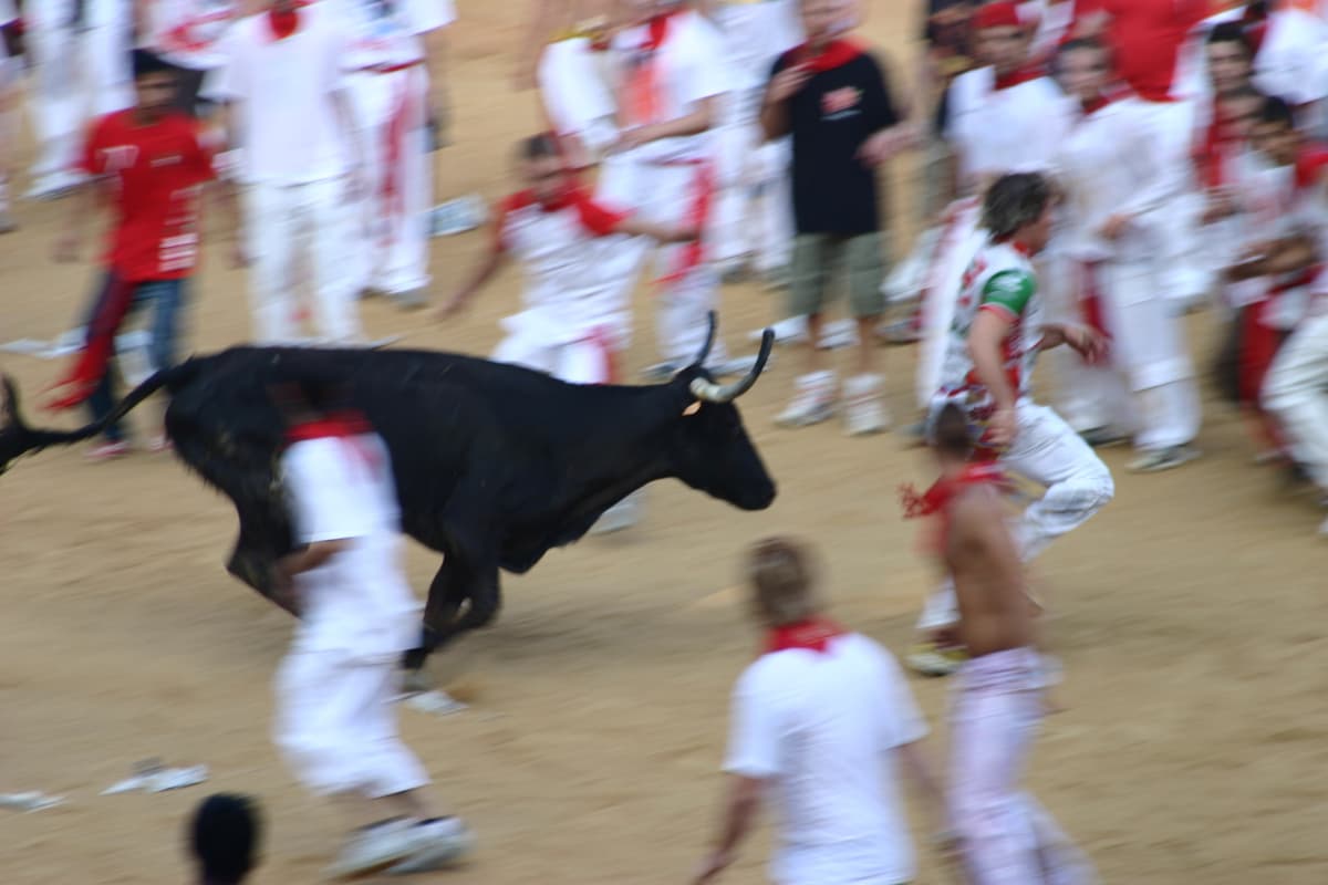 牛追い祭り