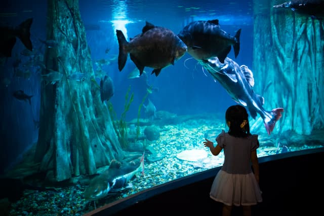 KLCC水族館