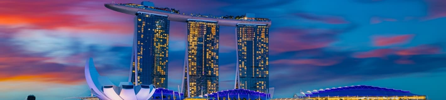 マリーナベイサンズの夜景