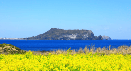 ハルラ山
