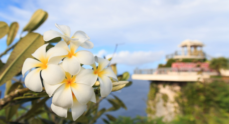 グアムの恋人岬