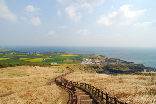 牛島（ウド）