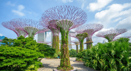 ガーデンズバイザベイ