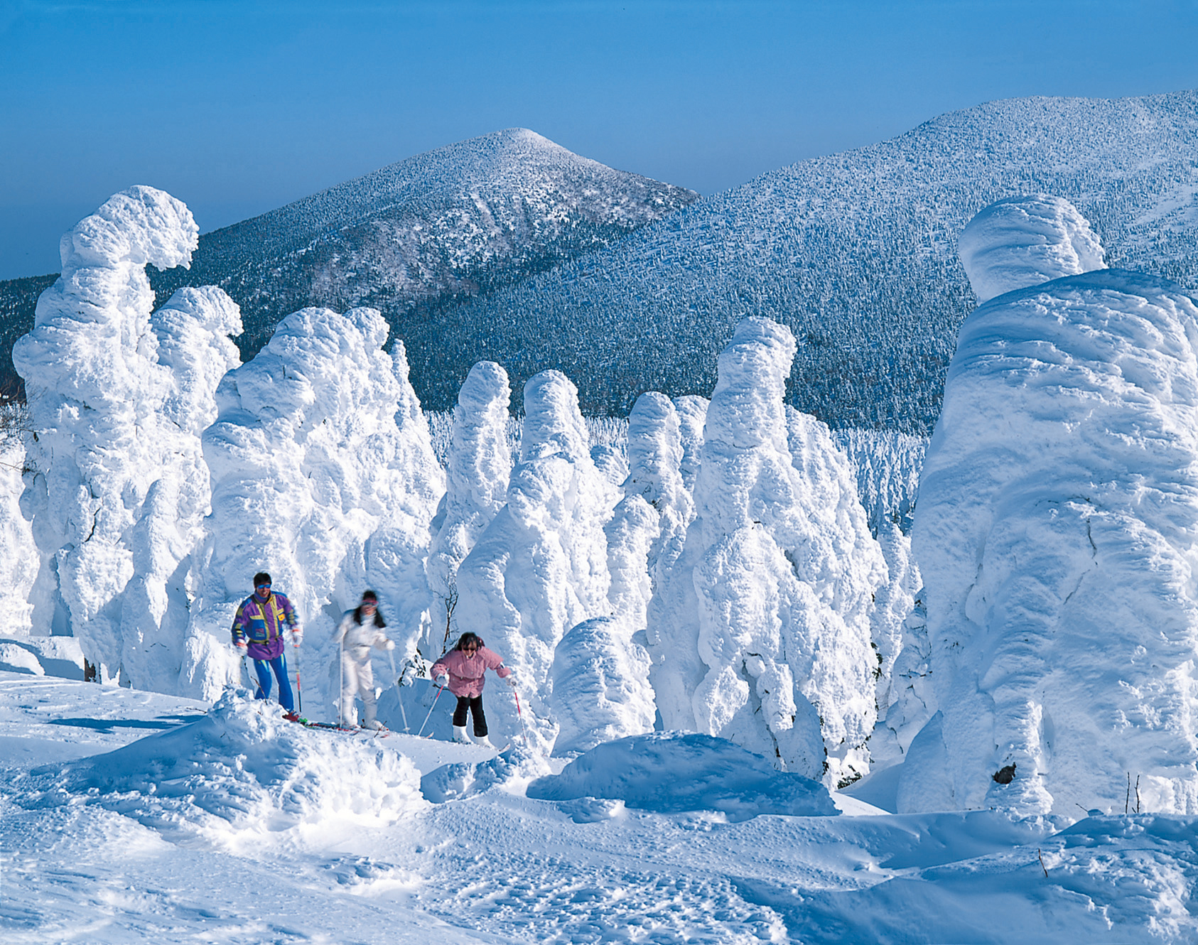 山形 蔵王 ゲレンデ目の前の温泉宿 蔵王国際ホテル 宿泊 ご夕食は贅沢に山形牛 神秘的な樹氷ライトアップ送迎 ロープウェイ付 東京駅発着 1泊2日間 往復新幹線利用 蔵王国際ホテル スキー 2名1室 宿泊 山形 蔵王 ゲレンデ目の前の温泉宿 蔵王国際ホテル 宿泊 ご夕食は贅沢に山形牛 神秘的な樹氷ライトアップ送迎 ロープウェイ付 東京駅発着 1泊2日間 往復新幹線利用 蔵王国際ホテル スキー 2名1室 宿泊
